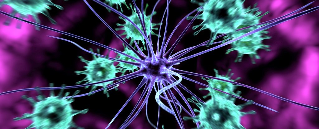 Имунна система –&nbsp;въведение