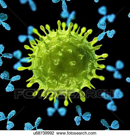 Вируси и автоимунни&nbsp;заболявания