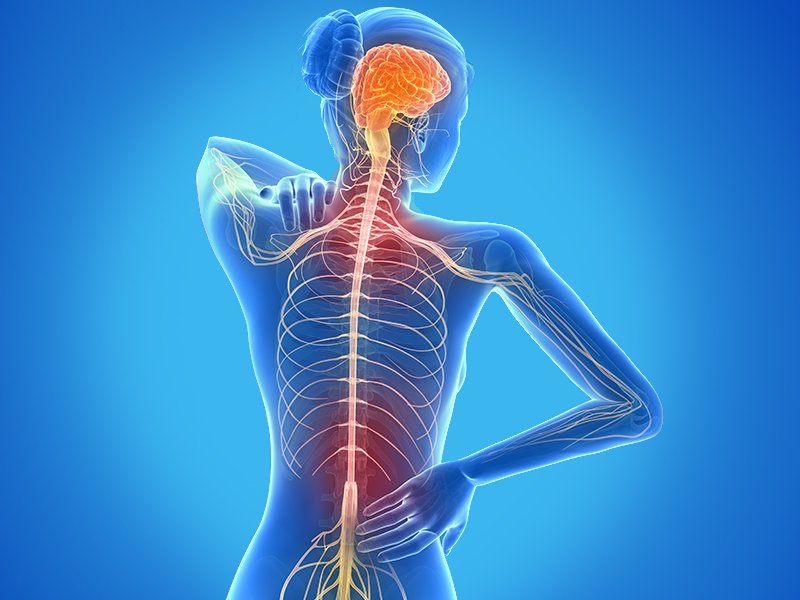 Имунология на множествената&nbsp;склероза