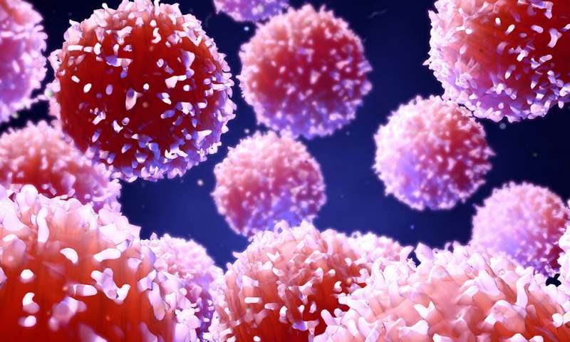 Вродени лимфоидни клетки с роля в&nbsp;затлъстяването