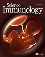 Мутация в белтъка Gab3 пречи на NK клетките да предпазват от плацента&nbsp;акрета